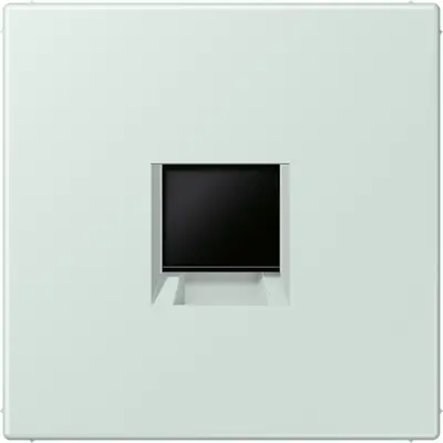 JUNG centraalplaat klikbevestiging 1-voudig met draagring keystone houder Les Couleurs ceruleen pale 215 (LC 1969-1 WE 215)