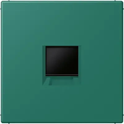 JUNG centraalplaat klikbevestiging 1-voudig met draagring keystone houder Les Couleurs vert anglais 216 (LC 1969-1 WE 216)
