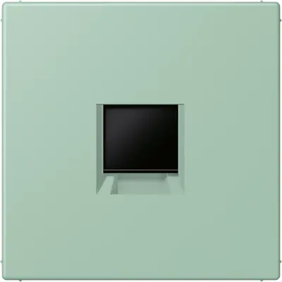 JUNG centraalplaat klikbevestiging 1-voudig met draagring keystone houder Les Couleurs vert anglais clair 217 (LC 1969-1 WE 217)