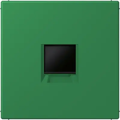 JUNG centraalplaat klikbevestiging 1-voudig met draagring keystone houder Les Couleurs vert fonce 219 (LC 1969-1 WE 219)
