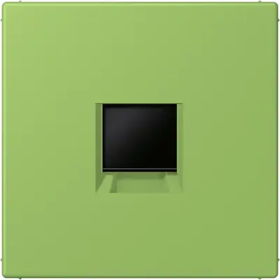JUNG centraalplaat klikbevestiging 1-voudig met draagring keystone houder Les Couleurs vert 31 220 (LC 1969-1 WE 220)