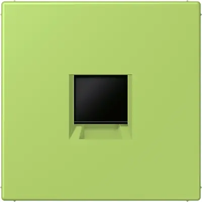 JUNG centraalplaat klikbevestiging 1-voudig met draagring keystone houder Les Couleurs vert clair 221 (LC 1969-1 WE 221)