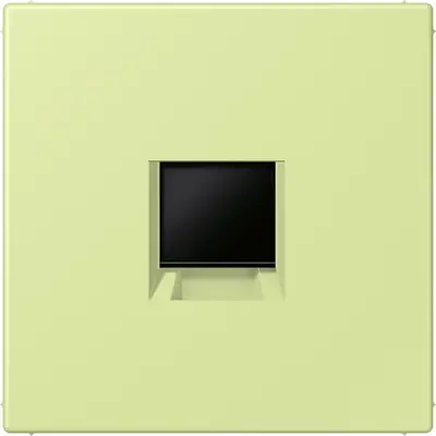 JUNG centraalplaat klikbevestiging 1-voudig met draagring keystone houder Les Couleurs vert jaune clair 222 (LC 1969-1 WE 222)