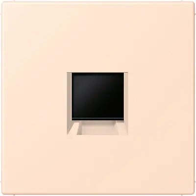 JUNG centraalplaat klikbevestiging 1-voudig met draagring keystone houder Rose pale 228 (LC 1969-1 WE 228)