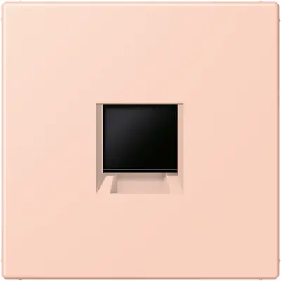 JUNG centraalplaat klikbevestiging 1-voudig met draagring keystone houder I'ocre rouge clair 234 (LC 1969-1 WE 234)