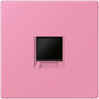 JUNG centraalplaat klikbevestiging 1-voudig met draagring keystone houder Les Couleurs rose vif 246 (LC 1969-1 WE 246)