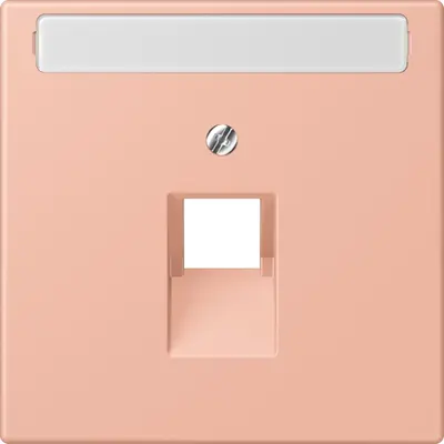 JUNG centraalplaat 1-voudig met tekstvenster tbv RJ45 wandcontactdoos Les Couleurs rose clair 231 (LC 969-1 NAUA 231)