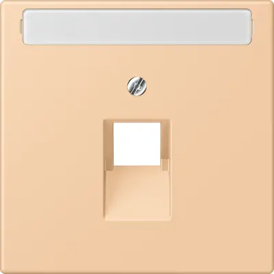 JUNG centraalplaat 1-voudig met tekstvenster tbv RJ45 wandcontactdoos Les Couleurs terre sienne claire 31 237 (LC 969-1 NAUA 237)