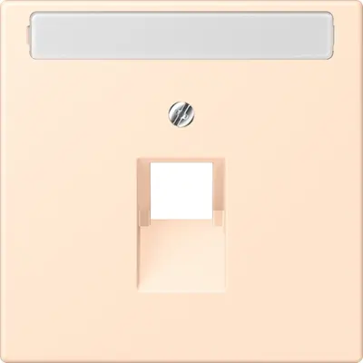 JUNG centraalplaat 1-voudig met tekstvenster tbv RJ45 wandcontactdoos Les Couleurs terre sienne pale 238 (LC 969-1 NAUA 238)