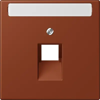 JUNG centraalplaat 1-voudig met tekstvenster tbv RJ45 wandcontactdoos Les Couleurs terre sienne brulee 59 247 (LC 969-1 NAUA 247)
