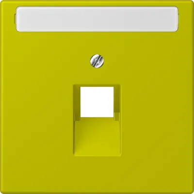JUNG centraalplaat 1-voudig met tekstvenster tbv RJ45 wandcontactdoos Les Couleurs vert olive vif 249 (LC 969-1 NAUA 249)