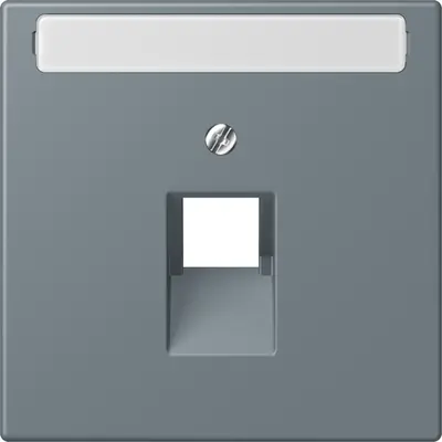 JUNG centraalplaat 1-voudig met tekstvenster tbv RJ45 wandcontactdoos Les Couleurs gris 59 251 (LC 969-1 NAUA 251)