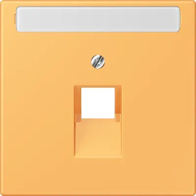 JUNG centraalplaat 1-voudig met tekstvenster tbv RJ45 wandcontactdoos Les Couleurs ocre jaune clair 254 (LC 969-1 NAUA 254)