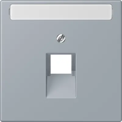 JUNG centraalplaat 1-voudig met tekstvenster tbv RJ45 wandcontactdoos Les Couleurs gris clair 59 257 (LC 969-1 NAUA 257)