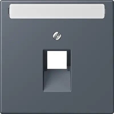 JUNG centraalplaat 1-voudig met tekstvenster tbv RJ45 wandcontactdoos Les Couleurs gris fonce 59 262 (LC 969-1 NAUA 262)