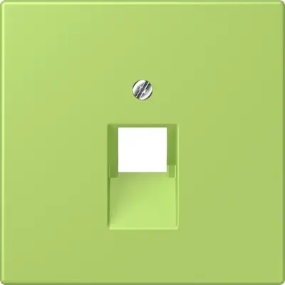 JUNG centraalplaat 1-voudig tbv RJ45 wandcontactdoos Les Couleurs vert clair 221 (LC 969-1 UA 221)