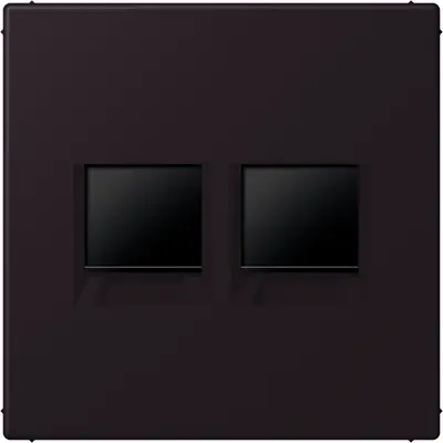 JUNG centraalplaat klikbevestiging 2-voudig met draagring keystone houder Les Couleurs noir d'ivoire 248 (LC 1969-2 WE 248)