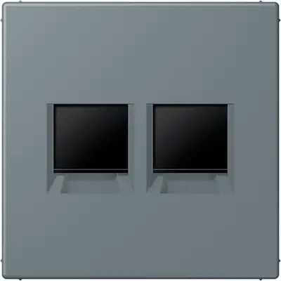 JUNG centraalplaat klikbevestiging 2-voudig met draagring keystone houder Les Couleurs gris 59 251 (LC 1969-2 WE 251)