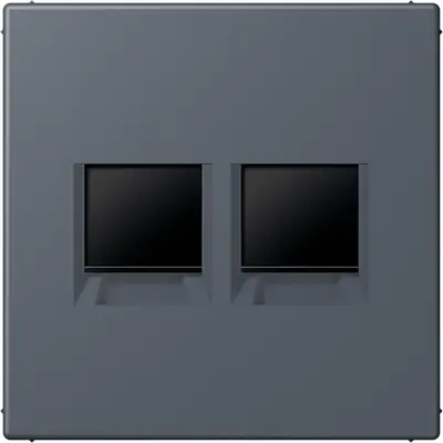 JUNG centraalplaat klikbevestiging 2-voudig met draagring keystone houder Les Couleurs gris fonce 59 262 (LC 1969-2 WE 262)
