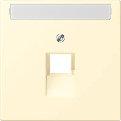 JUNG centraalplaat 1-voudig met tekstvenster tbv RJ45 wandcontactdoos Les Couleurs blanc 201 (LC 969-1 NAUA 201)