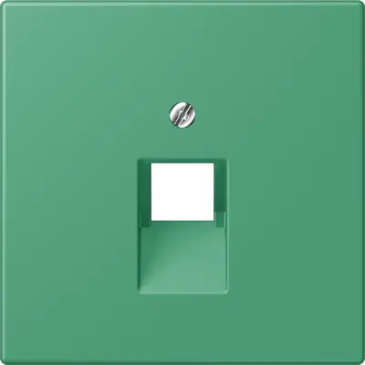 JUNG centraalplaat 1-voudig tbv RJ45 wandcontactdoos Les Couleurs vert 59 250 (LC 969-1 UA 250)