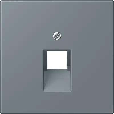 JUNG centraalplaat 1-voudig tbv RJ45 wandcontactdoos Les Couleurs gris 59 251 (LC 969-1 UA 251)
