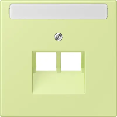 JUNG centraalplaat 2-voudig met tekstvenster tbv RJ45 wandcontactdoos Les Couleurs vert jaune clair 222 (LC 969-2 NAUA 222)