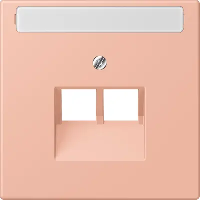 JUNG centraalplaat 2-voudig met tekstvenster tbv RJ45 wandcontactdoos Les Couleurs rose clair 231 (LC 969-2 NAUA 231)