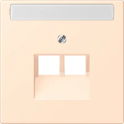 JUNG centraalplaat 2-voudig met tekstvenster tbv RJ45 wandcontactdoos Les Couleurs terre sienne pale 238 (LC 969-2 NAUA 238)