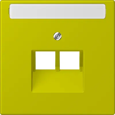 JUNG centraalplaat 2-voudig met tekstvenster tbv RJ45 wandcontactdoos Les Couleurs vert olive vif 249 (LC 969-2 NAUA 249)