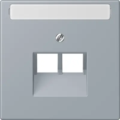JUNG centraalplaat 2-voudig met tekstvenster tbv RJ45 wandcontactdoos Les Couleurs gris clair 59 257 (LC 969-2 NAUA 257)