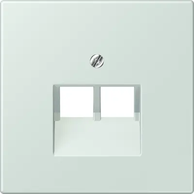JUNG centraalplaat 2-voudig tbv RJ45 wandcontactdoos Les Couleurs ceruleen pale 215 (LC 969-2 UA 215)