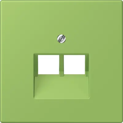 JUNG centraalplaat 2-voudig tbv RJ45 wandcontactdoos Les Couleurs vert 31 220 (LC 969-2 UA 220)