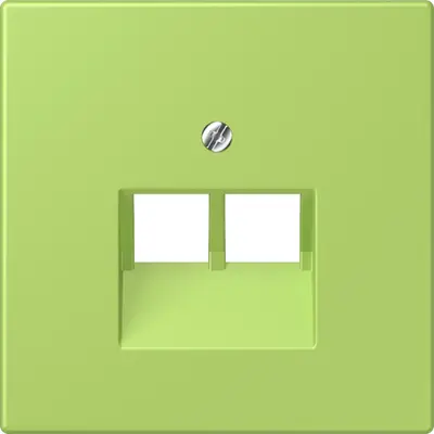 JUNG centraalplaat 2-voudig tbv RJ45 wandcontactdoos Les Couleurs vert clair 221 (LC 969-2 UA 221)