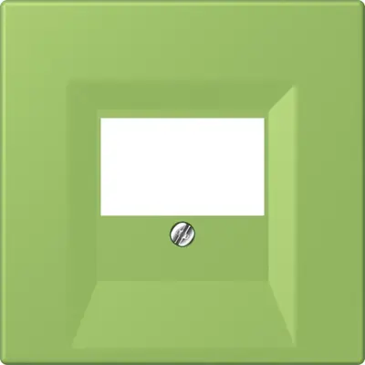 JUNG centraalplaat multimedia Les Couleurs vert 31 220 (LC 969 T 220)