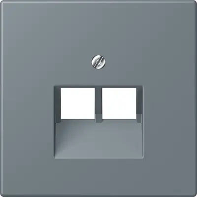 JUNG centraalplaat 2-voudig tbv RJ45 wandcontactdoos Les Couleurs gris 59 251 (LC 969-2 UA 251)