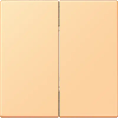 JUNG bluetooth radiografische wandzender 4-kanaals low energy Les Couleurs terre sienne clair 59 258 (BLE LC 995 258)