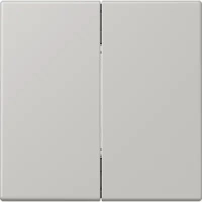 JUNG bluetooth radiografische wandzender 4-kanaals low energy Les Couleurs gris clair 31 205 (BLE LC 995 205)