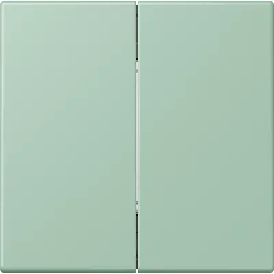 JUNG bluetooth radiografische wandzender 4-kanaals low energy Les Couleurs vert anglais clair 217 (BLE LC 995 217)