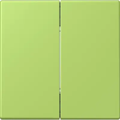 JUNG bluetooth radiografische wandzender 4-kanaals low energy Les Couleurs vert clair 221 (BLE LC 995 221)