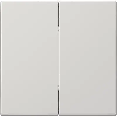 JUNG Friends of Hue radiografische wandzender 4-kanaals LS990 lichtgrijs (FOH LS 995 LG)