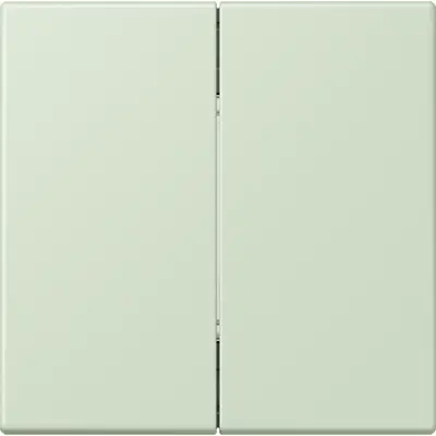 JUNG zender/ab v draadloos schakelsyst. foh wand 4kan Les Couleurs vert anglais pale 218 (FOH LC 995 218)