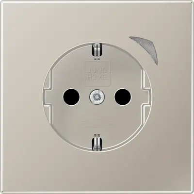 JUNG HOME wandcontactdoos randaarde LS990 edelstaal (BT ES 1521 S-L)