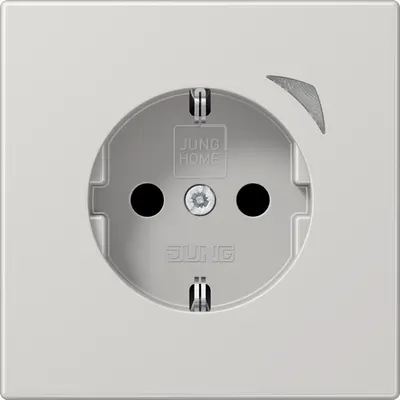 JUNG HOME wandcontactdoos randaarde LS990 lichtgrijs (BT LS 1521 S LG)
