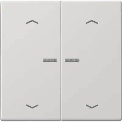 JUNG HOME dimmerknop 2-voudig met pijlsymbolen LS990 lichtgrijs (BT LS 17102 P LG)