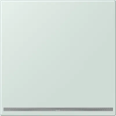JUNG LED-orientatieverlichting Les Couleurs ceruleen pale 215 (LC 1539-OO LNW 215)