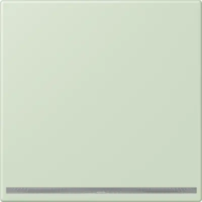 JUNG LED-orientatieverlichting Les Couleurs vert anglais pale 218 (LC 1539-OO LNW 218)