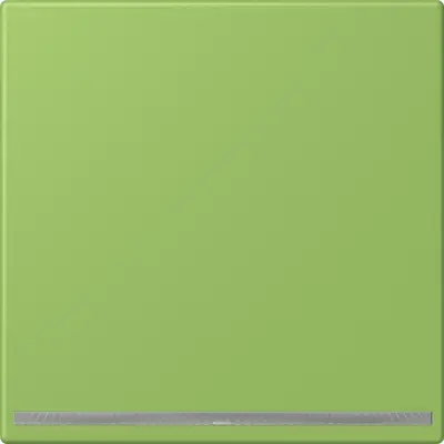 JUNG LED-orientatieverlichting Les Couleurs vert 31 220 (LC 1539-OO LNW 220)