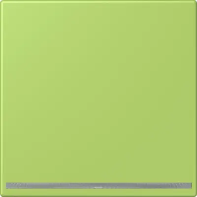 JUNG LED-orientatieverlichting Les Couleurs vert clair 221 (LC 1539-OO LNW 221)