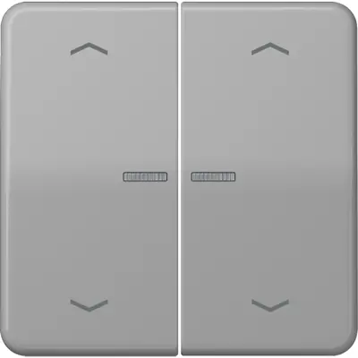 JUNG HOME bedieningsknop 2-voudig met pijlsymbolen CD500 grijs (BT CD 17102 P GR)